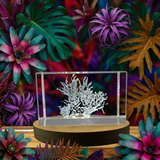 3D Engraved Crystal Dulse With Free LED Base Light