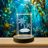 3D Engraved Crystal Sea Palm with LED Base Light and Gift Box - Custom Award From A&B Crystal Collection