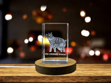 Pig Chinese Zodiac Sign 3D Engraved Crystal Keepsake Gift A&B Crystal Collection