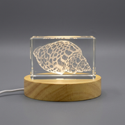 Sea Shell Engraved Crystal Art