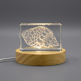 Sea Shell Engraved Crystal Art - Custom Award From A&B Crystal Collection