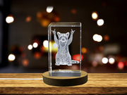 Pensive Raccoon 3D Engraved Crystal - Made in Canada - Includes FREE LED Base Light