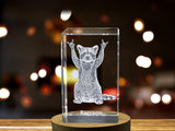 Pensive Raccoon 3D Engraved Crystal - Made in Canada - Includes FREE LED Base Light A&B Crystal Collection