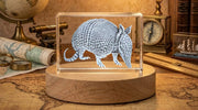 3D Engraved Armadillo 3D Engraved Crystal Recognition Trophy Award — Made in Canada