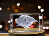 Shrew Whispers 3D Engraved Crystal Keepsake with LED Base Light A&B Crystal Collection