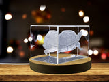 Sea Turtle 3D Engraved Crystal - Handcrafted in Canada | LED Base Light Included | Multiple Sizes A&B Crystal Collection