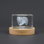 Recognition Unique 3D Engraved Badger Crystal Trophy Award - Personalized Gift for Animal Lovers