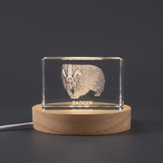 Recognition Unique 3D Engraved Badger Crystal Trophy Award - Personalized Gift for Animal Lovers