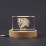 Recognition Unique 3D Engraved Badger Crystal Trophy Award - Personalized Gift for Animal Lovers