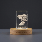 Personalized 3D Engraved Crystal Bald Eagle Trophy Award - Recognition Gift for Bird Lovers
