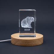 3D Engraved Bear Recognition Trophy Award with Complimentary LED Base - Unique Gift for Animal Lovers