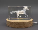 Akhal-Teke Horse 3D Engraved Crystal Trophy Award — Made in Canada