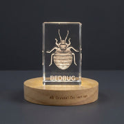 3D 3D Engraved Crystal Bed Bug Figurine — Made in Canada