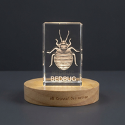 3D Crystal Bed Bug Figurine, Laser Engraved Insect Sculpture, Pest Control Novelty Gift