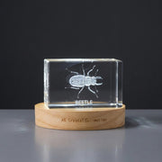 3D 3D Engraved Crystal Beetle Sculpture — Made in Canada