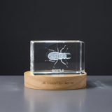 3D Crystal Beetle Sculpture, Laser Engraved Insect Figurine, Nature Lover Collectible Gift - Custom Award From A&B Crystal Collection