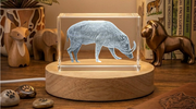 Babirusa Recognition 3D Engraved Crystal - Stunning Art Piece with Free LED Base Light