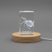 3D 3D Engraved Crystal Black Widow Spider — Made in Canada