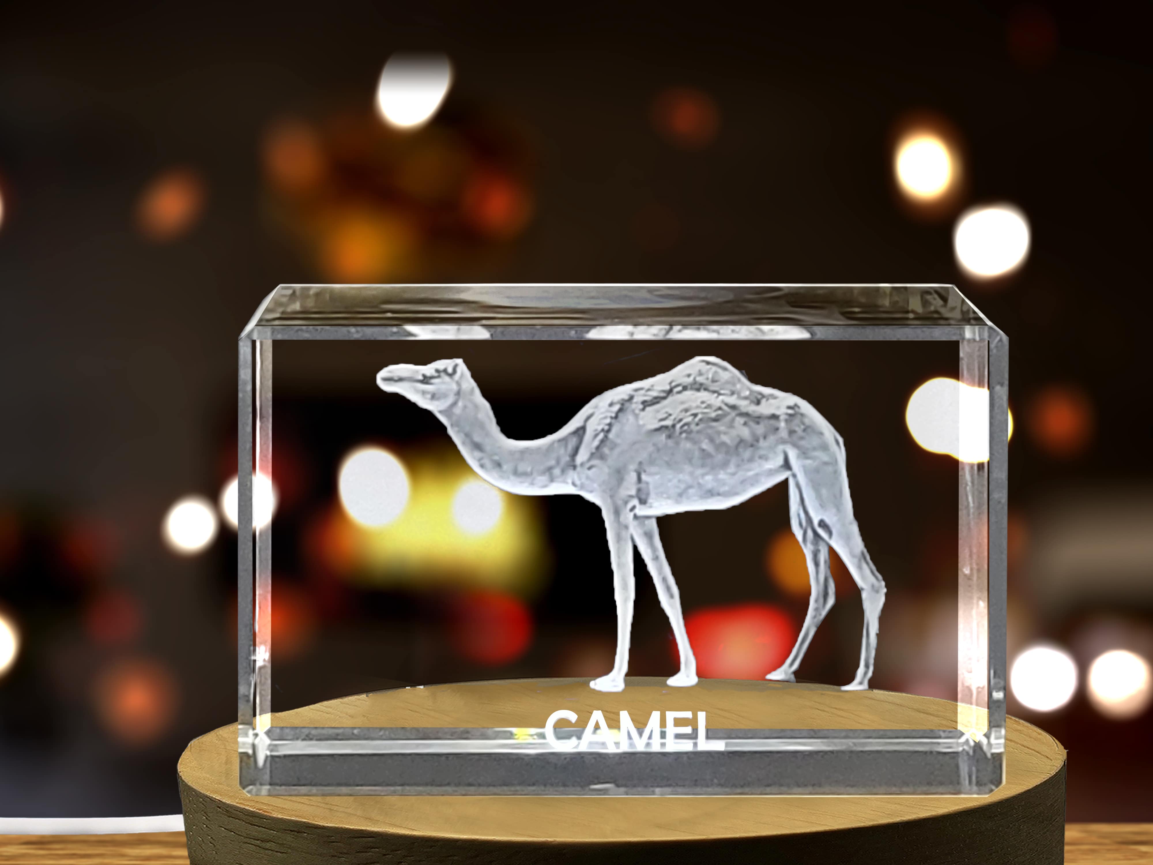 Unique 3D Engraved Crystal with Camel Design - Perfect Gift for Animal Lovers A&B Crystal Collection