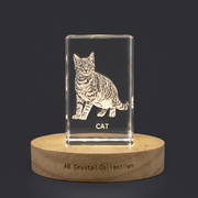 Recognition Unique 3D Engraved Cat Trophy Award Crystal With LED Base - Perfect Gift For Cat Lovers