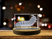 Unique 3D Engraved Crystal with Caterpillar Design - Perfect Gift for Nature Lovers