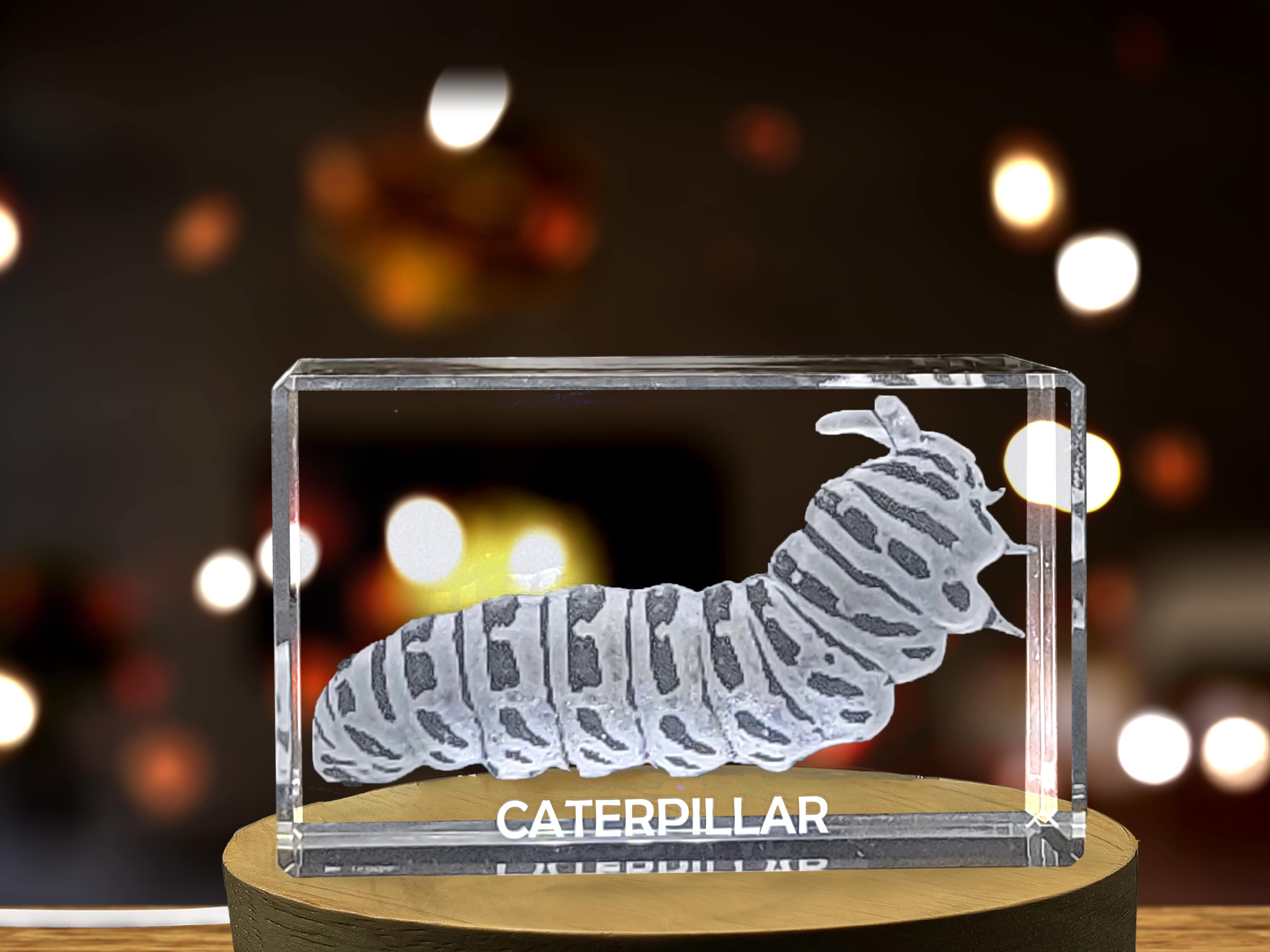 Unique 3D Engraved Crystal with Caterpillar Design - Perfect Gift for Nature Lovers A&B Crystal Collection