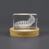 Caterpillar Trophy Award 3D Engraved Crystal — Made in Canada