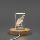 Crystal gravé 3D à couper le souffle d'un condor majestueux - parfait pour les amateurs d'oiseaux et les amateurs de faune