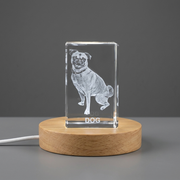 Loyal Dog 3D Engraved Crystal Trophy Award with LED Base Light - Recognition for Dog Lovers