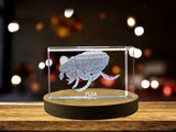 Whimsical Flea Crystal Carvings | Exquisite Gems Etched with Miniature Pets A&B Crystal Collection