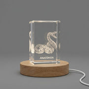 Anaconda Design 3D Engraved Crystal — Made in Canada