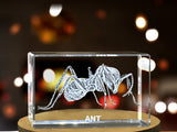 Unique 3D Engraved Crystal with Ant Design - Perfect Gift for Insect Lovers A&B Crystal Collection