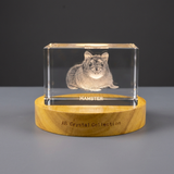 Whimsical Hamster Recognition Trophy Crystal Carvings | Exquisite Etched Pet Sculptures