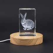 Graceful Hare Crystal Carvings