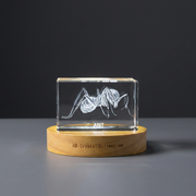 Recognition 3D Engraved Ant Design Crystal Trophy Award - Perfect Gift for Insect Lovers