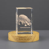 Majestic Hippo 3D Engraved Crystal Trophy Award Recognition — Made in Canada