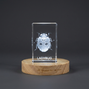 Whimsical Ladybug Crystal Carvings Recognition | Exquisite 3D Etched Gem Sculptures