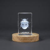Whimsical Ladybug 3D Engraved Crystal Carvings Recognition — Made in Canada - Custom Award From A&B Crystal Collection