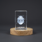 Whimsical Ladybug Crystal Carvings Recognition | Exquisite 3D Etched Gem Sculptures - Custom Award From A&B Crystal Collection