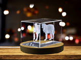 Beautifully Detailed Ladybug Design | 3D Engraved Crystal Keepsake A&B Crystal Collection