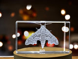 Intricate Moth Crystal Carvings | Exquisite Gems Etched with Nocturnal Lepidoptera A&B Crystal Collection