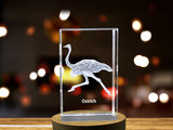Graceful Ostrich Crystal Carvings | Exquisite Gems Etched with Fleet-Footed Ratites A&B Crystal Collection