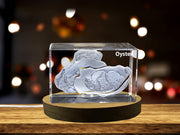 Intricate Oyster Crystal Carvings | Exquisite Gems Etched with Bivalve Beauties