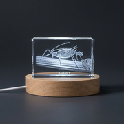 Crystal gravé 3D unique avec design de puceron - Cadeau parfait pour les amateurs d'insectes
