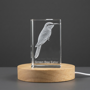 Green Bee Eater 3D Engraved Crystal Trophy Recognition Award - Unique Gift for Bird Lovers