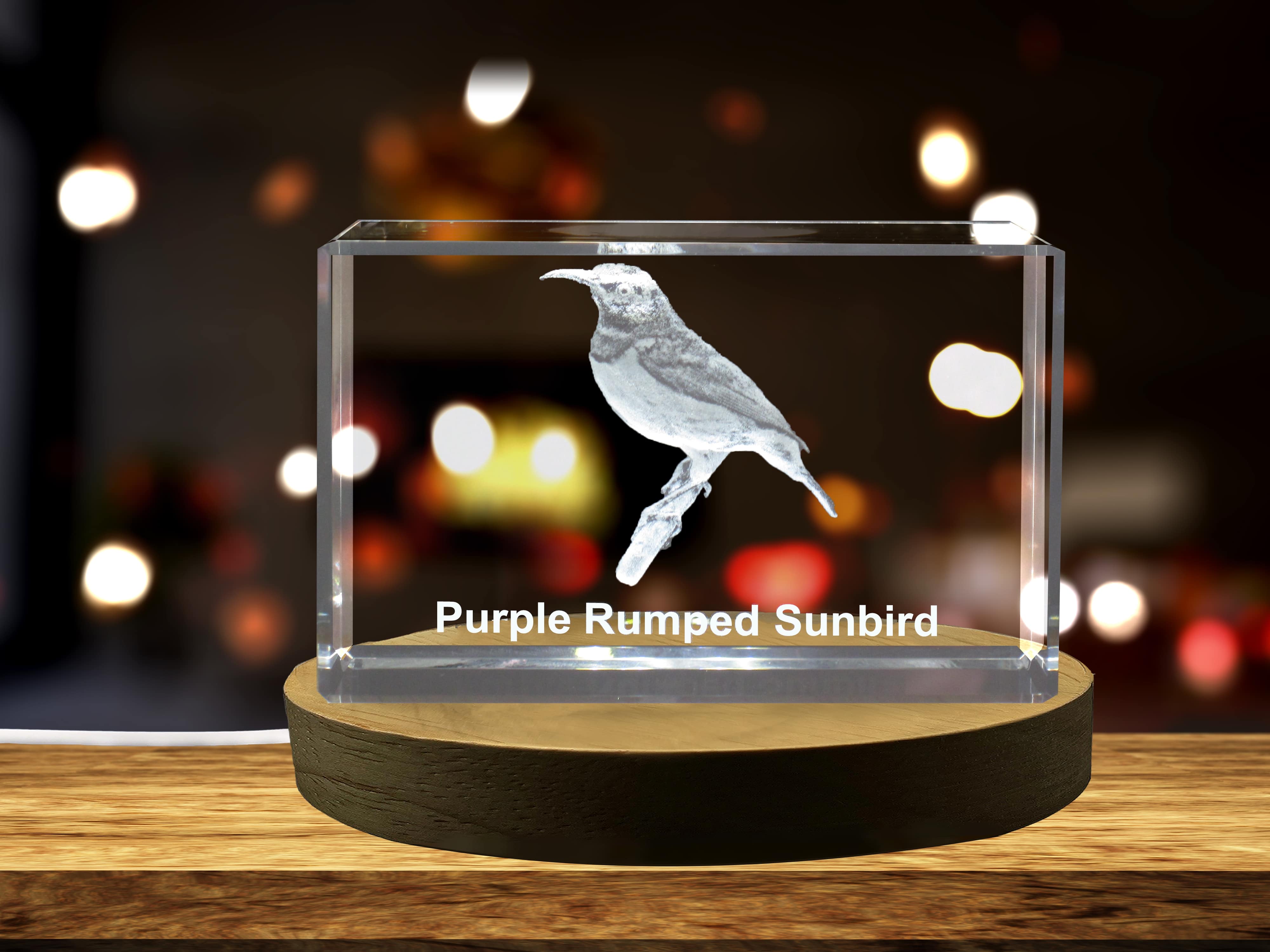 Purple-Rumped Sunbird 3D Engraved Crystal 3D Engraved Crystal Keepsake/Gift/Decor/Collectible/Souvenir A&B Crystal Collection