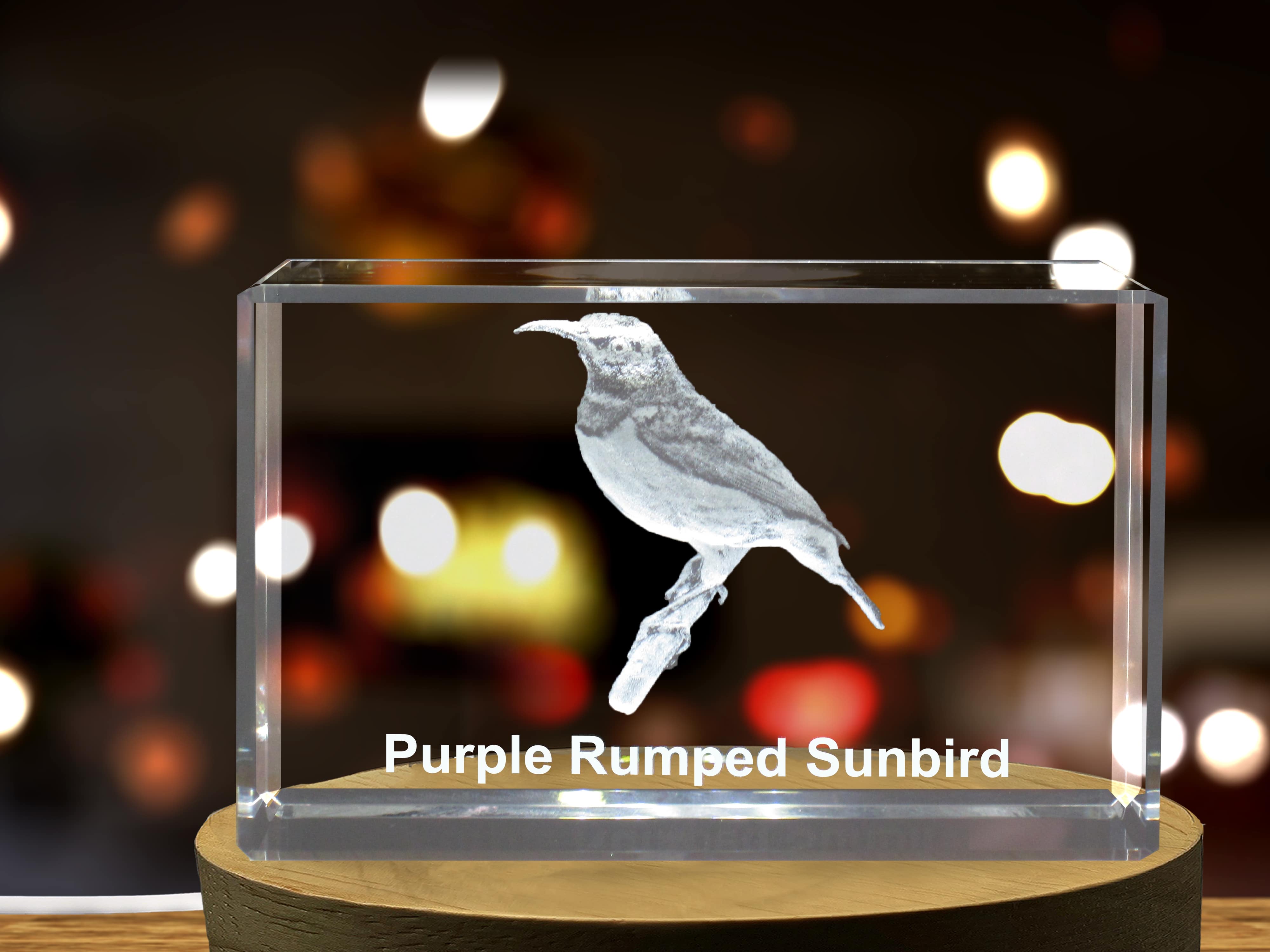 Purple-Rumped Sunbird 3D Engraved Crystal 3D Engraved Crystal Keepsake/Gift/Decor/Collectible/Souvenir A&B Crystal Collection