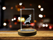 Canje Pheasant 3D Engraved Crystal 3D Engraved Crystal Keepsake/Gift/Decor/Collectible/Souvenir