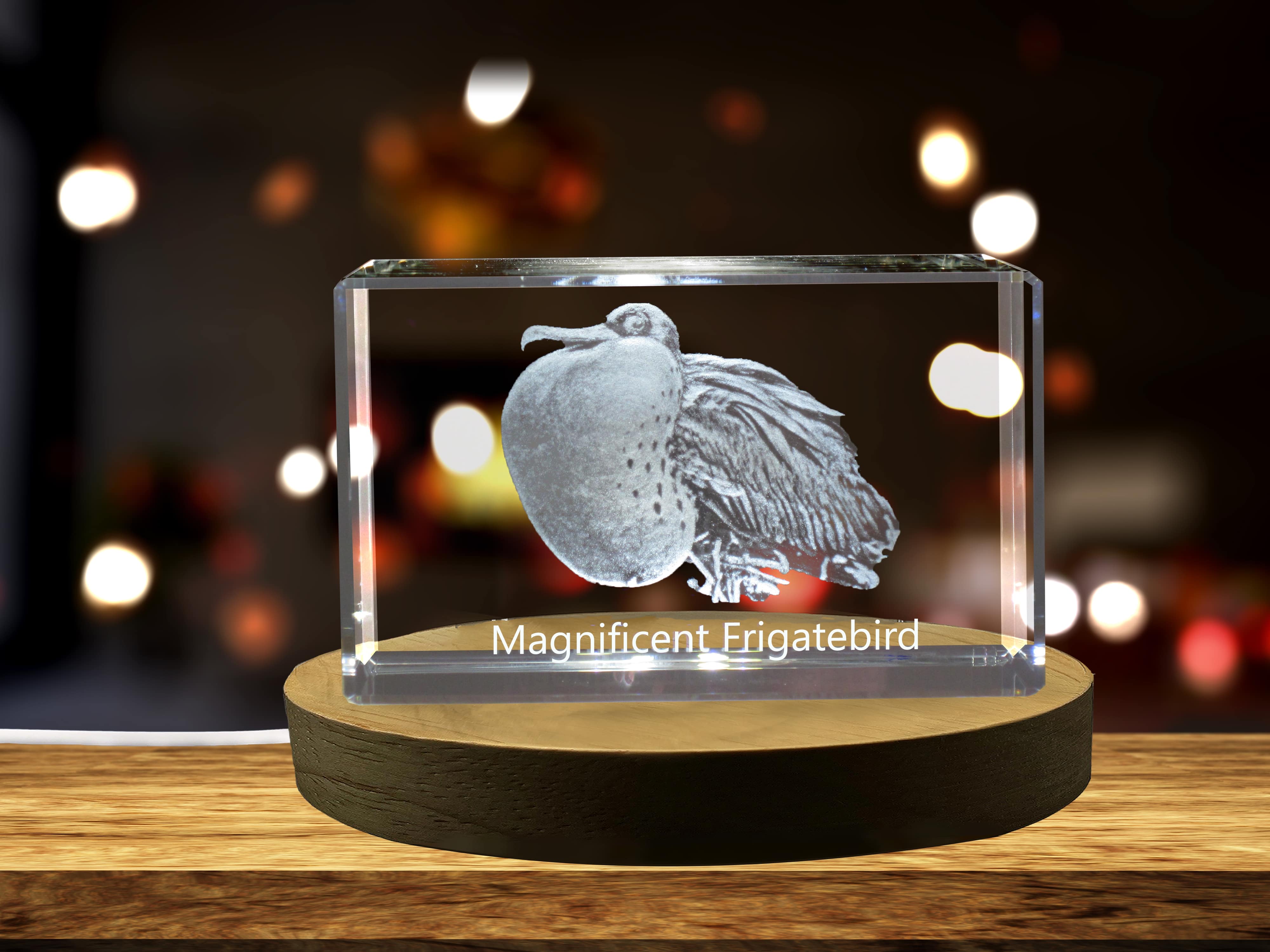 Magnificent Frigatebird 3D Engraved Crystal 3D Engraved Crystal Keepsake/Gift/Decor/Collectible/Souvenir A&B Crystal Collection