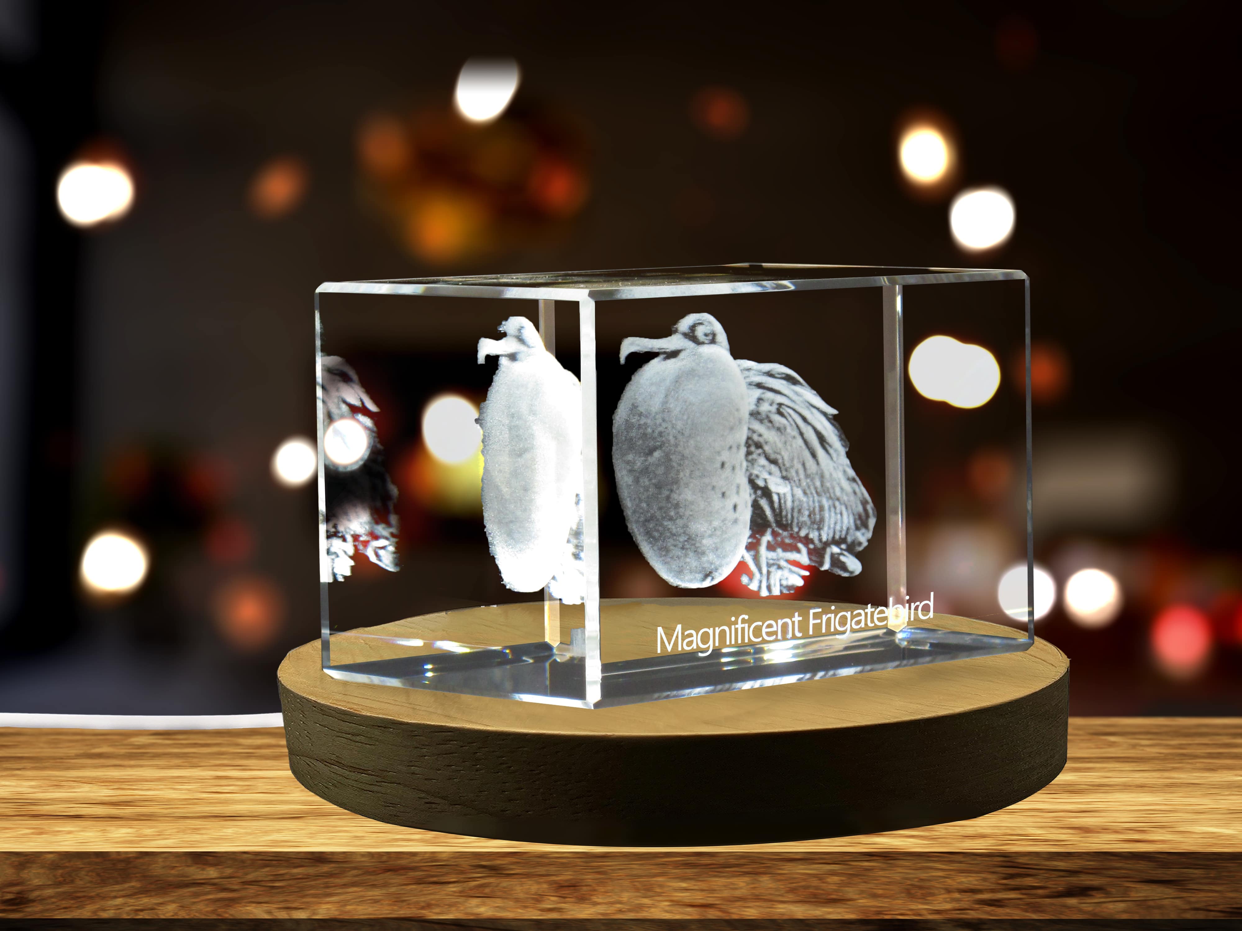 Magnificent Frigatebird 3D Engraved Crystal 3D Engraved Crystal Keepsake/Gift/Decor/Collectible/Souvenir A&B Crystal Collection